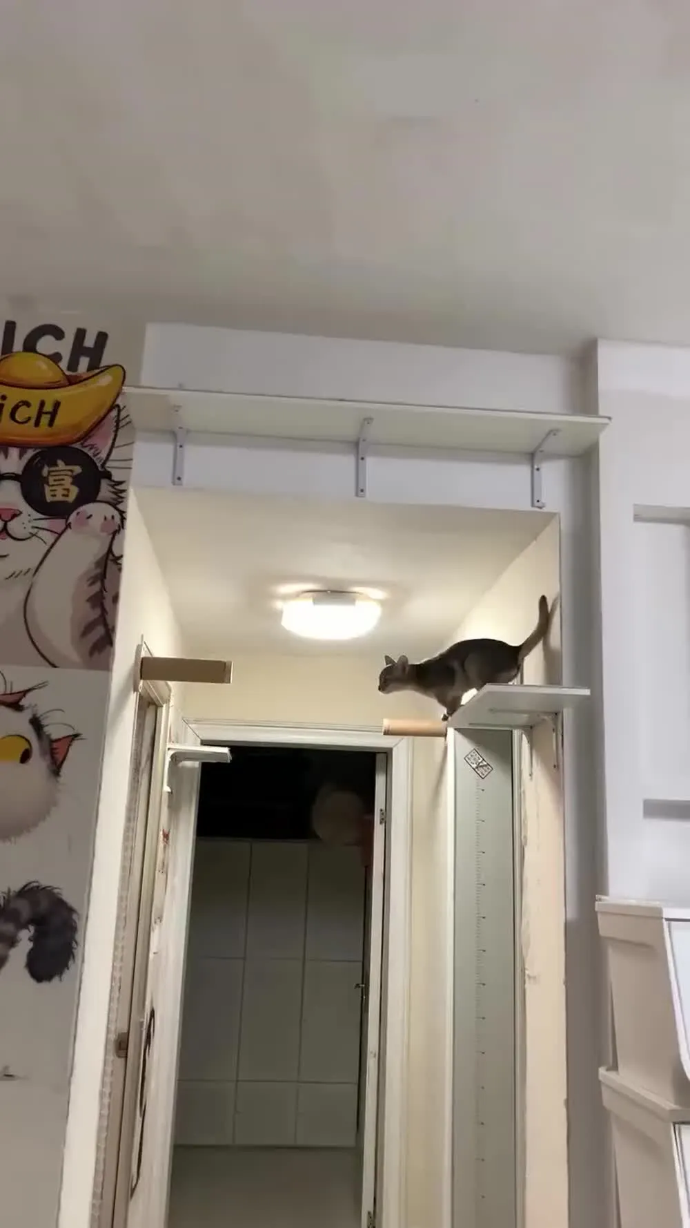 Пост от funny_ninon_2019 в 10.12.2025 04:28