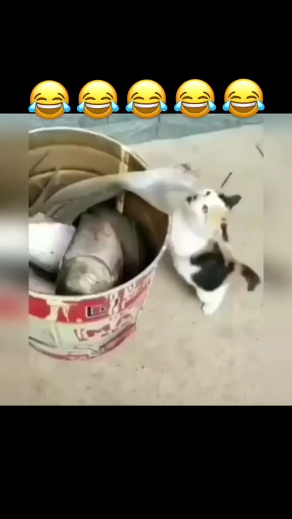 Пост от nikolaiust73 в 13.11.2025 02:15